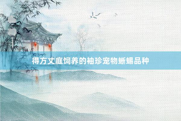 得方丈庭饲养的袖珍宠物蜥蜴品种